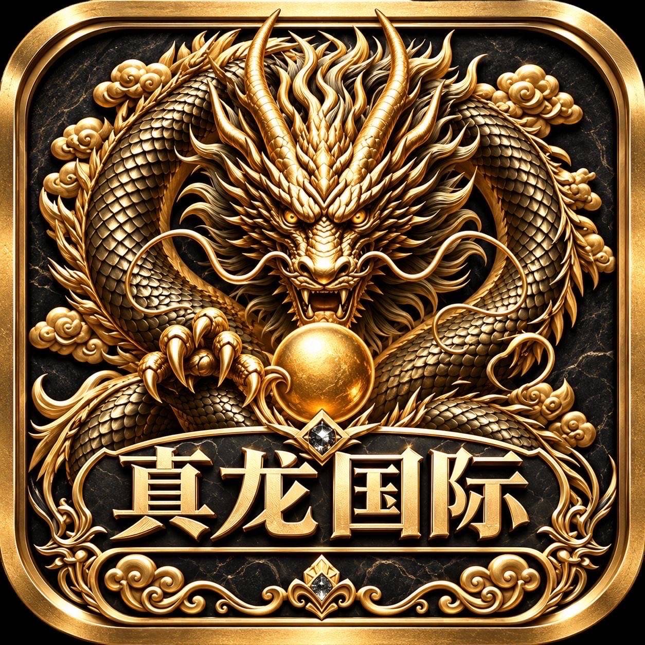 真龙国际